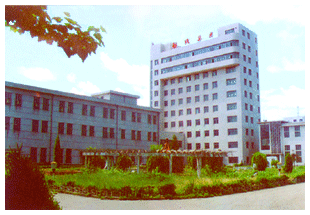 公司簡介廣告